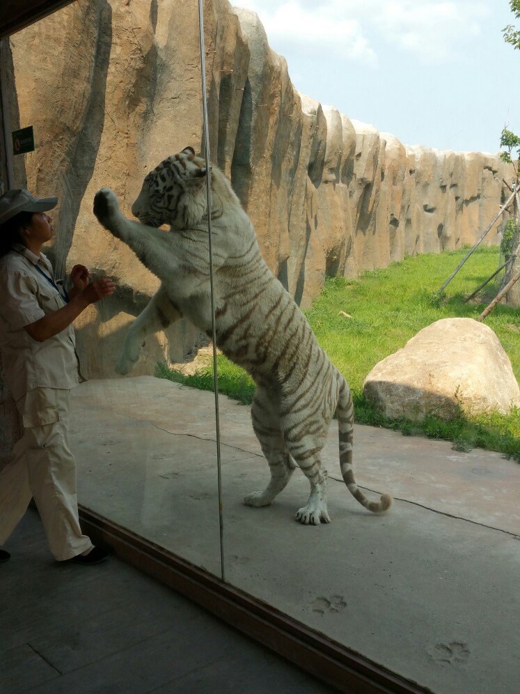 2019龍沙動植物園-旅遊攻略-門票-地址-問答-遊記點評,齊齊哈爾旅遊