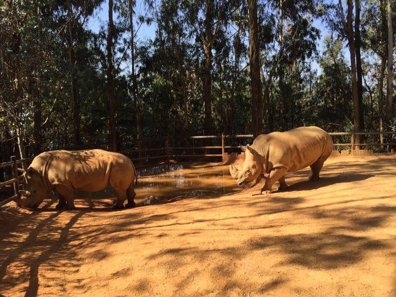 雲南野生動物園家庭親子景點推薦/點評