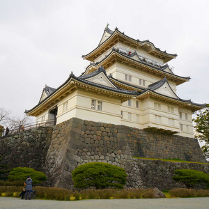 21小田原市旅游攻略 4月小田原市 Odawara 自助游 自驾 出游 自由行 游玩攻略 携程攻略