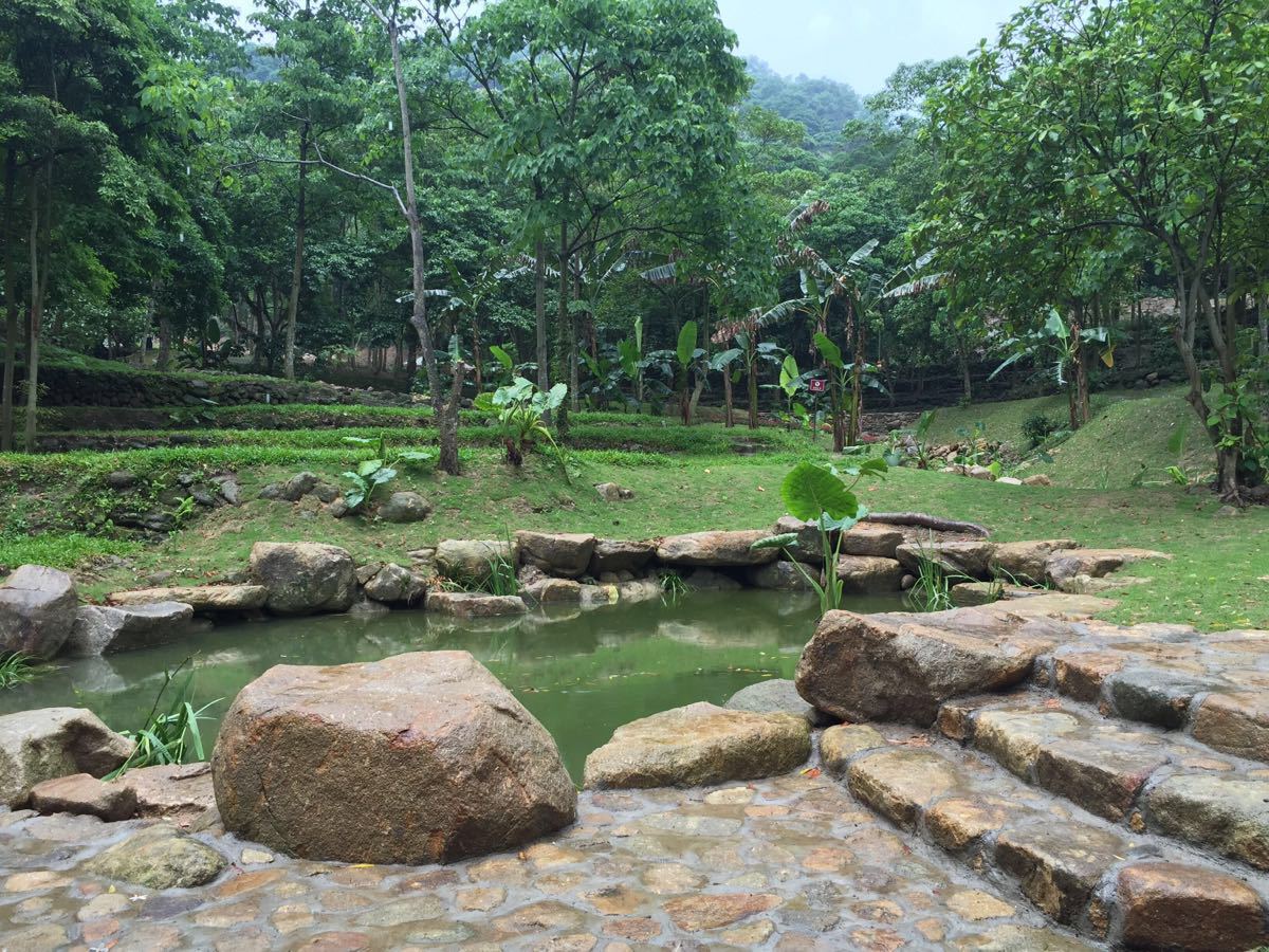 广州二龙山花园