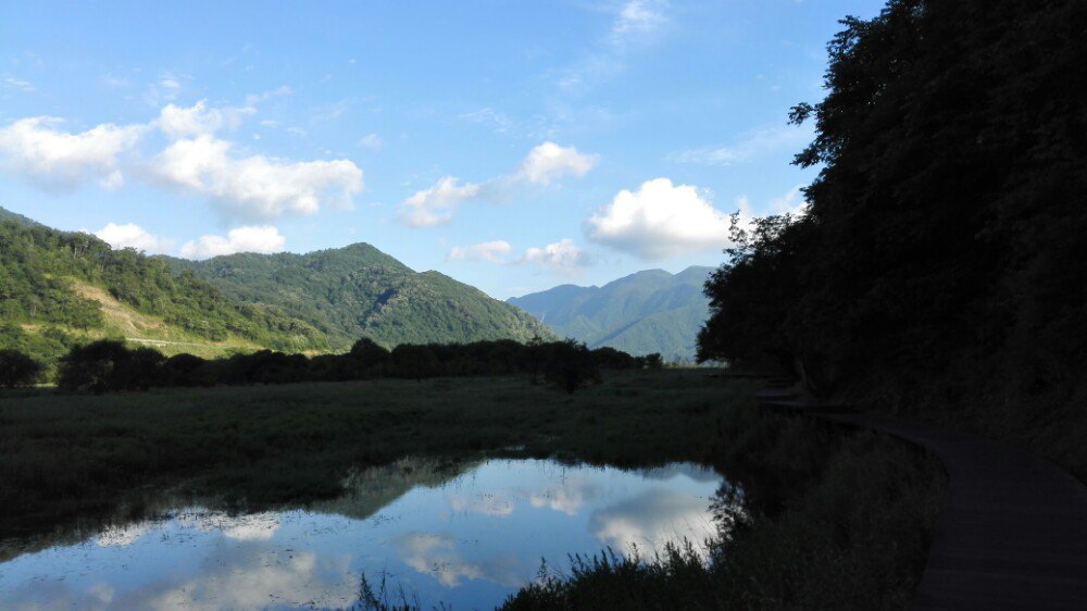 2019大九湖國家溼地公園_旅遊攻略_門票_地址_遊記點評,神農架旅遊