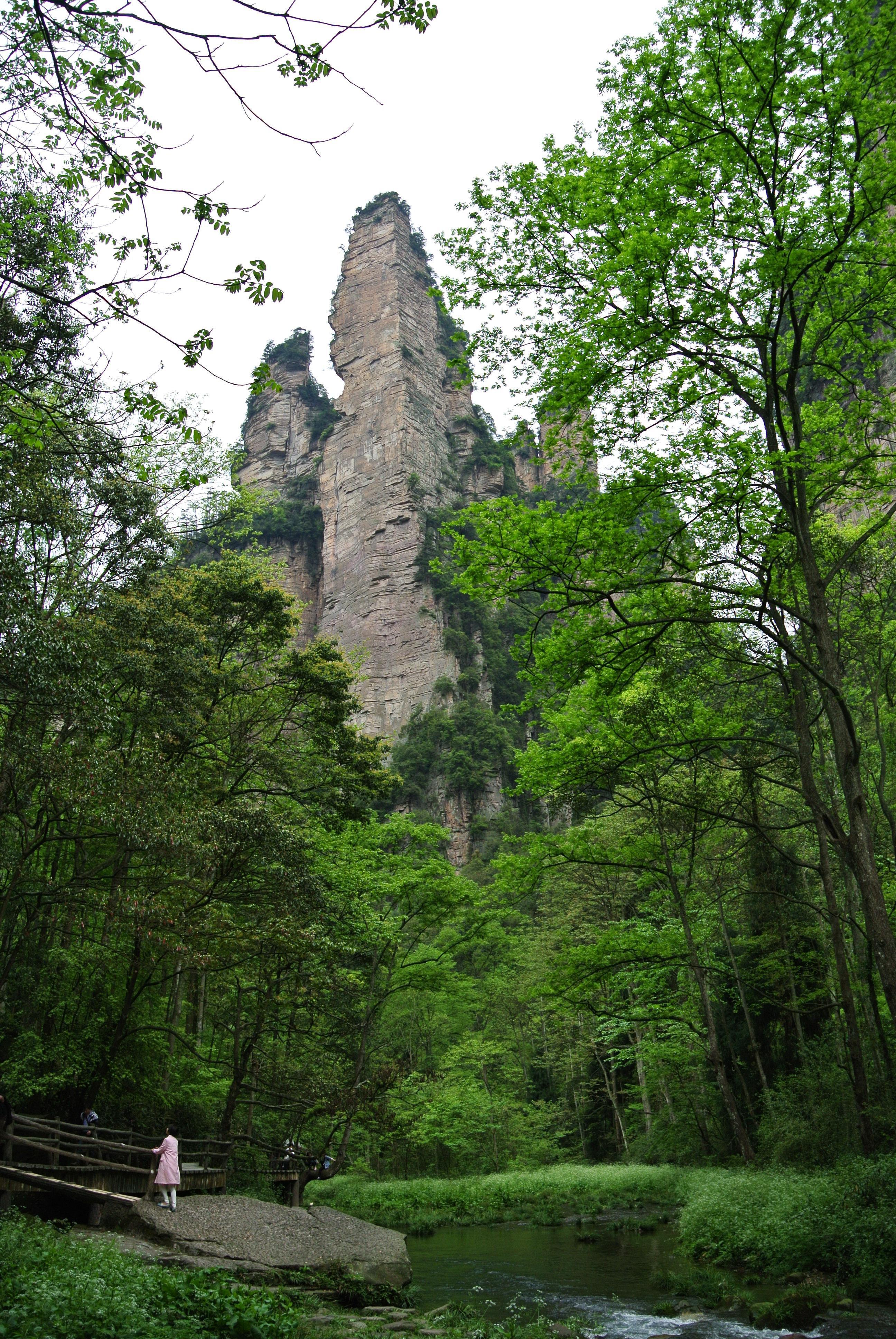 金鞭溪大峡谷
