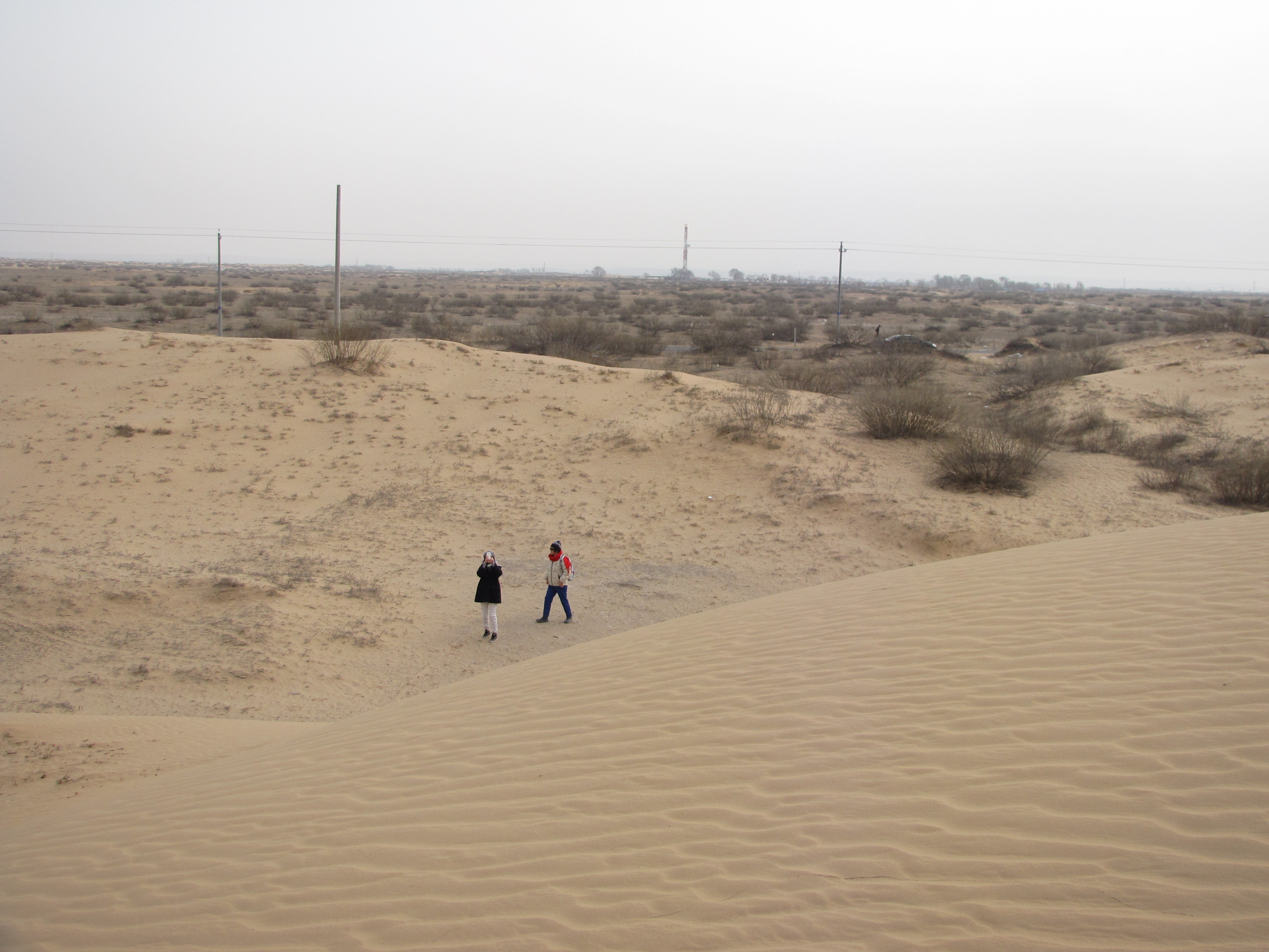 中国将草方格升级，彻底解决沙漠荒漠化，成为世界治沙史上的奇迹|宁夏|方格|沙漠_新浪新闻