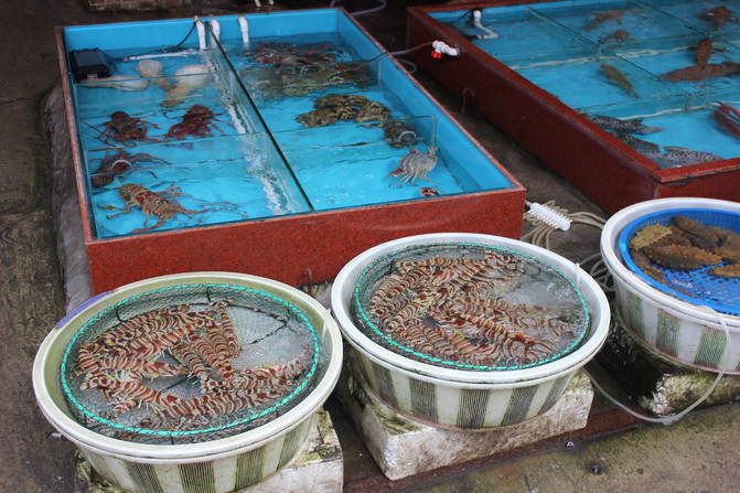 厦门八市旧城区美食小搜索