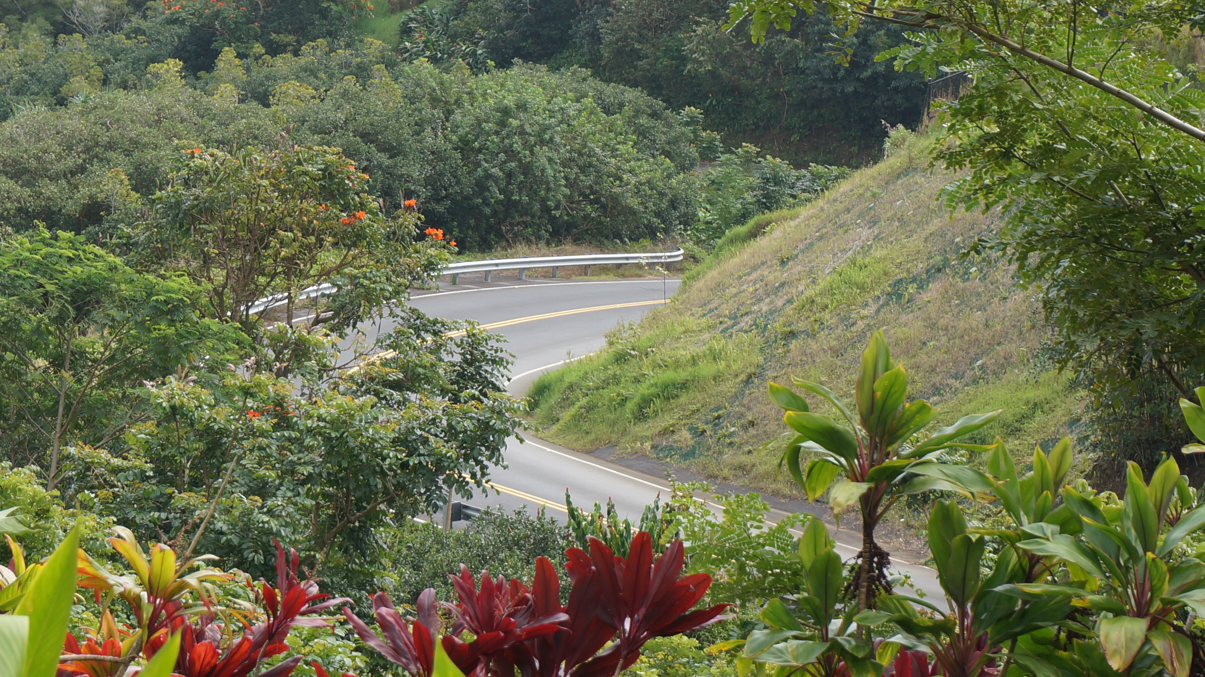 茂宜岛哈纳公路好玩吗,茂宜岛哈纳公路景点怎么样_点评_评价【携程