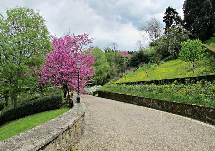 巴尔迪尼花园bardini garden