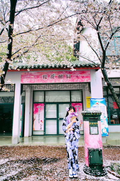 我们入园后直接坐景区电瓶车到了游客中心,那时候这家樱花邮局已经