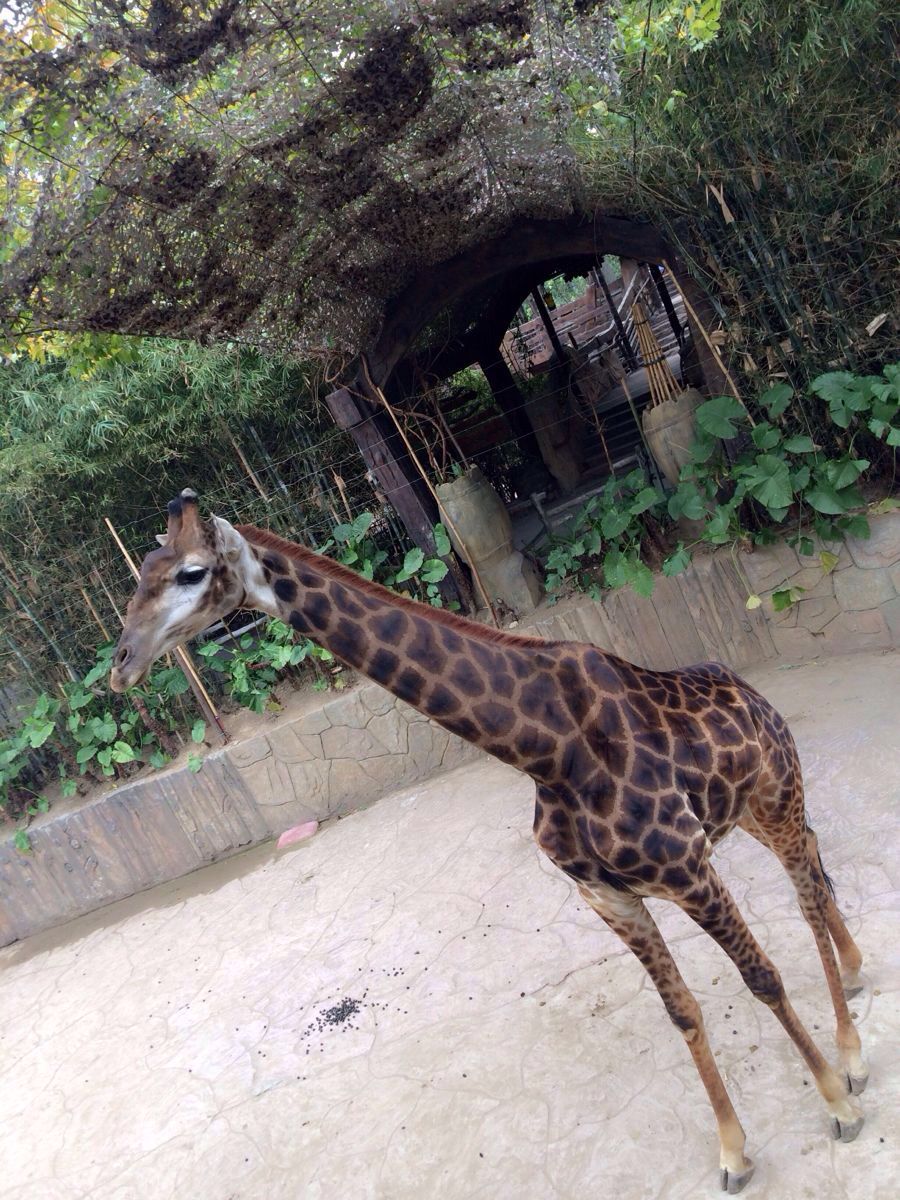 长鹿旅游休博园