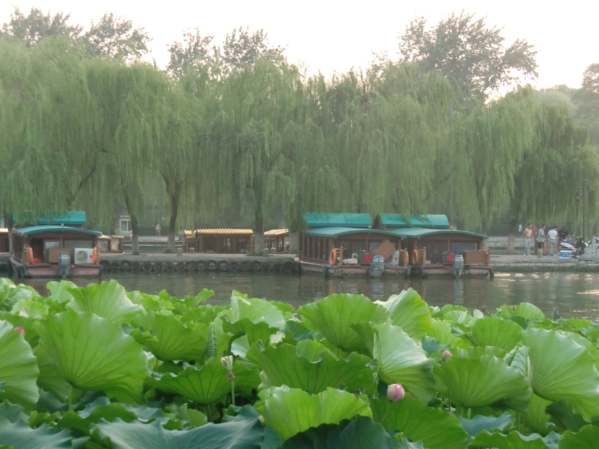 大明湖景區