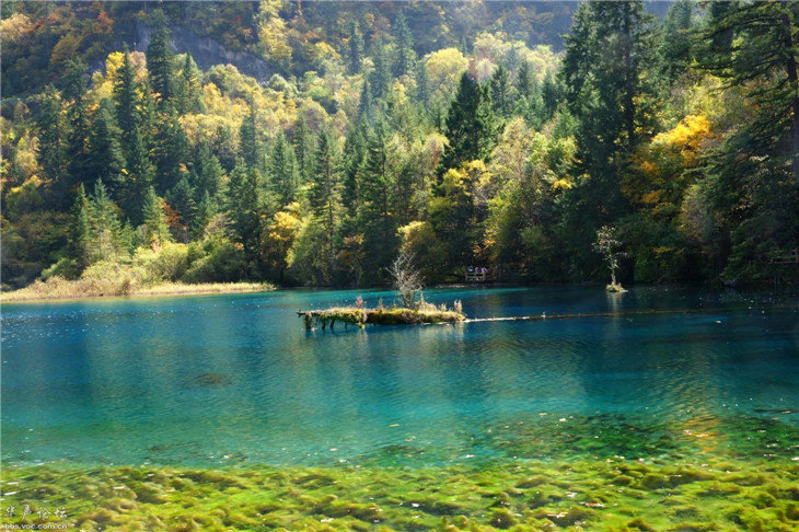 【攜程攻略】九寨溝九寨溝風景區適合單獨旅行旅遊嗎,九寨溝風景區