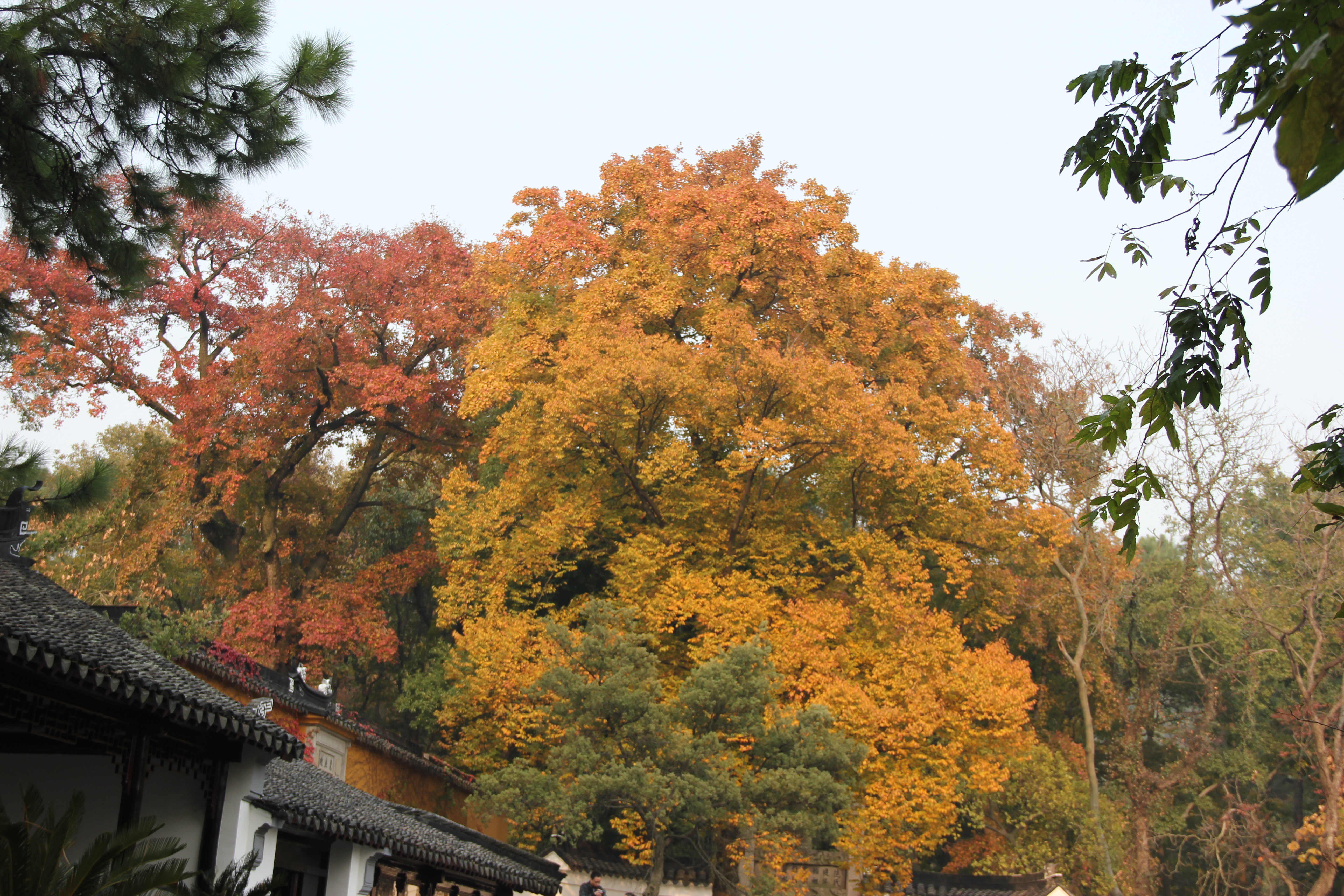 天平山