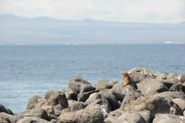 豪放派小清新,南美比你想象的美!游记之厄瓜(3