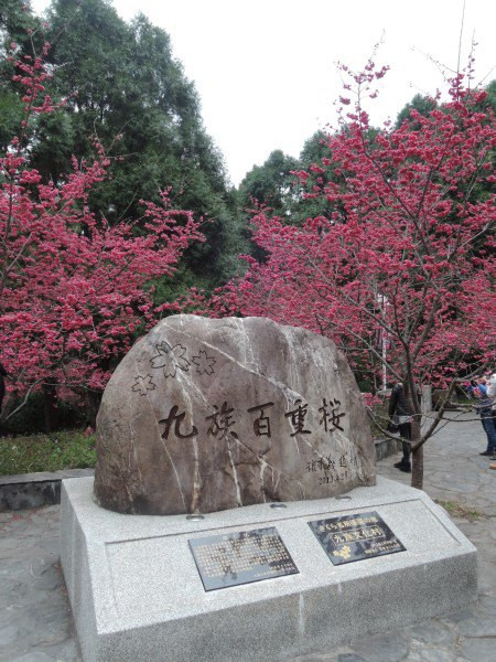 【BlackCat】初見“台灣”—西線篇-旅人制造