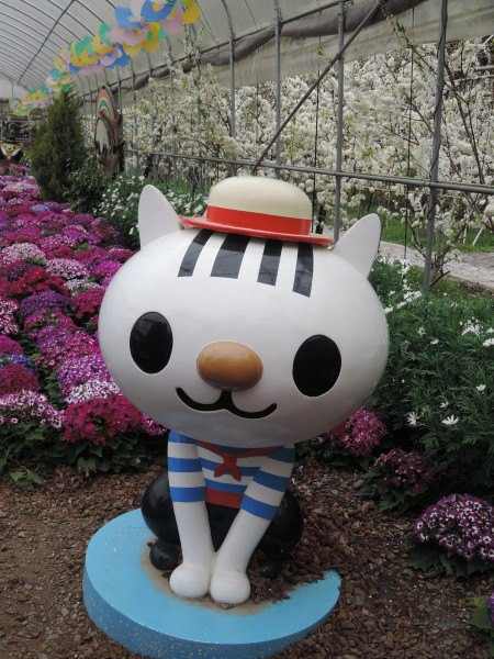 【BlackCat】初見“台灣”—西線篇-旅人制造