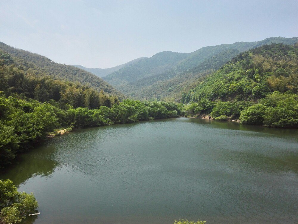 2019龍背山森林公園_旅遊攻略_門票_地址_遊記點評,宜興旅遊景點推薦