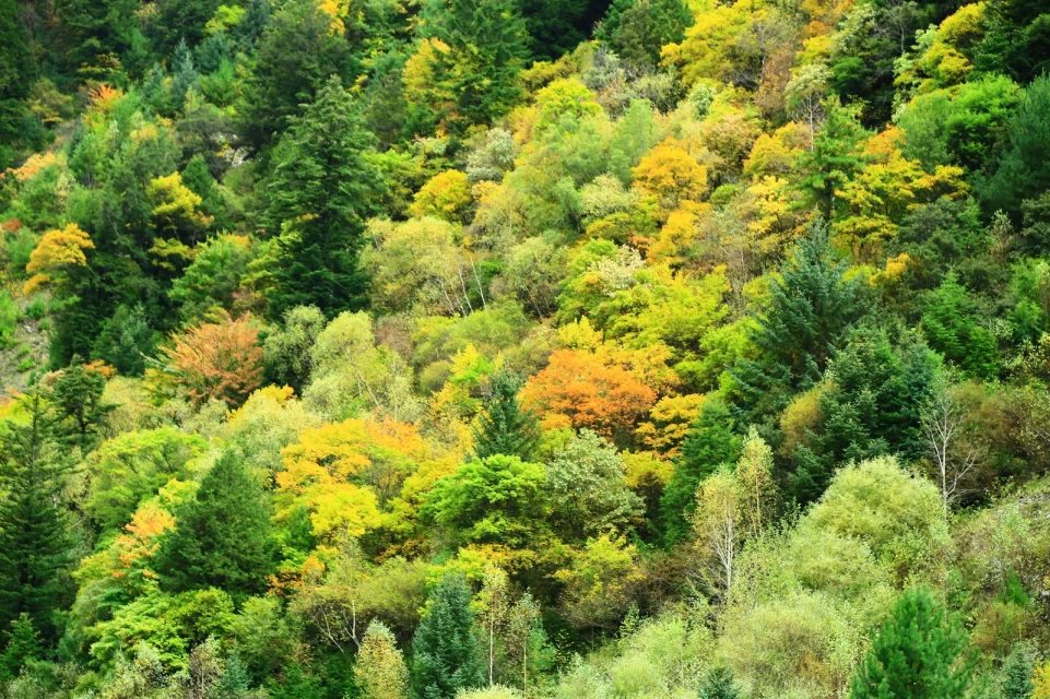 米亚罗风景区