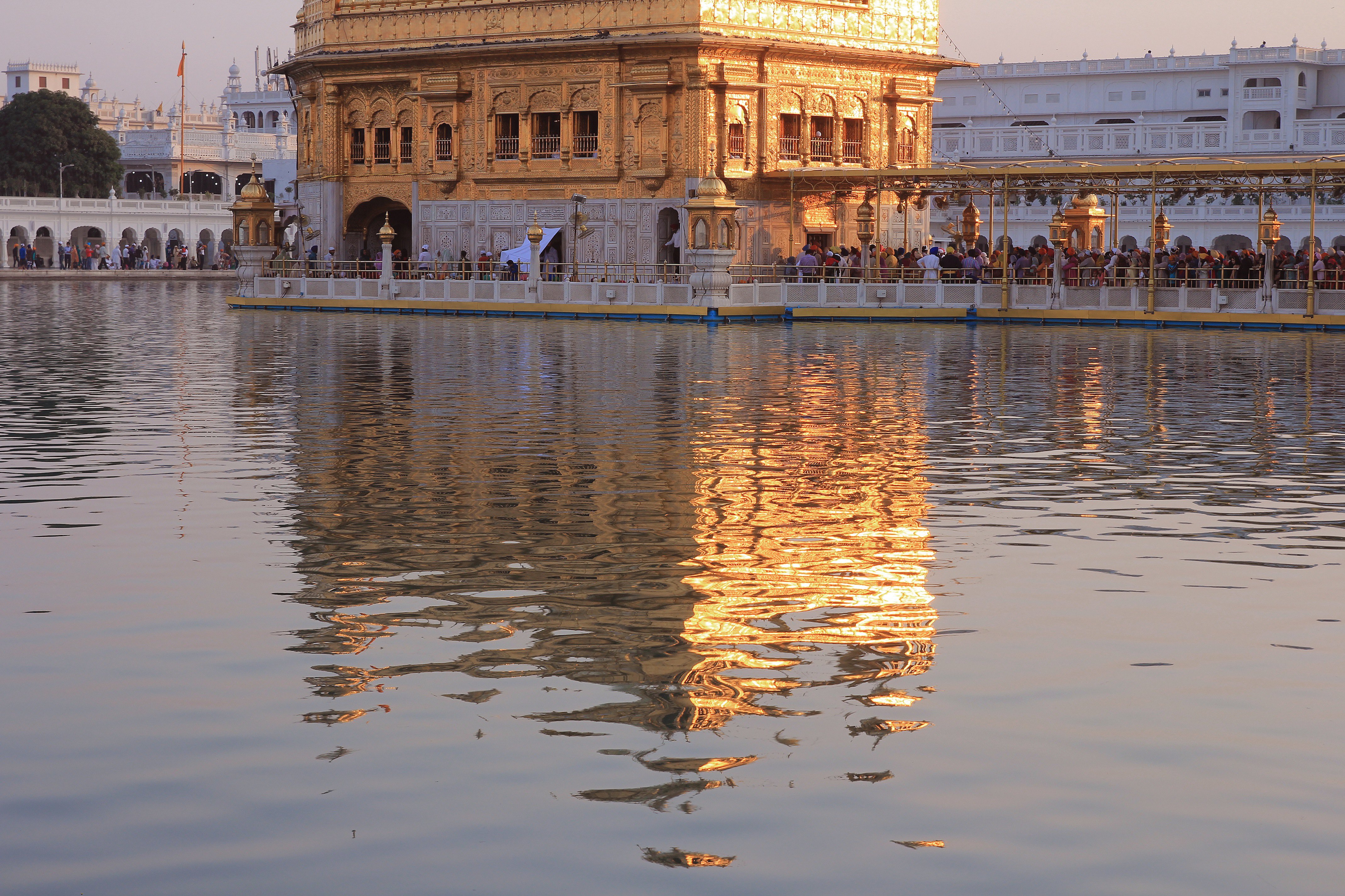 阿姆利则金庙golden temple