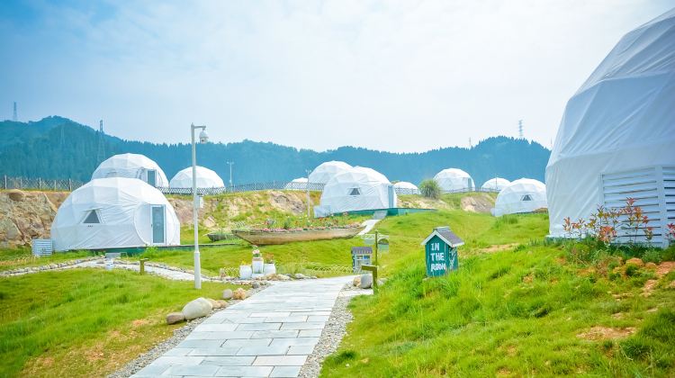 进贤湾马术公园