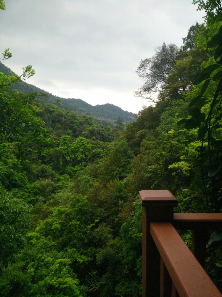 怎麼走): 贛州市大餘縣黃龍鎮大龍村 標籤: 旅遊景點 風景區 丫山