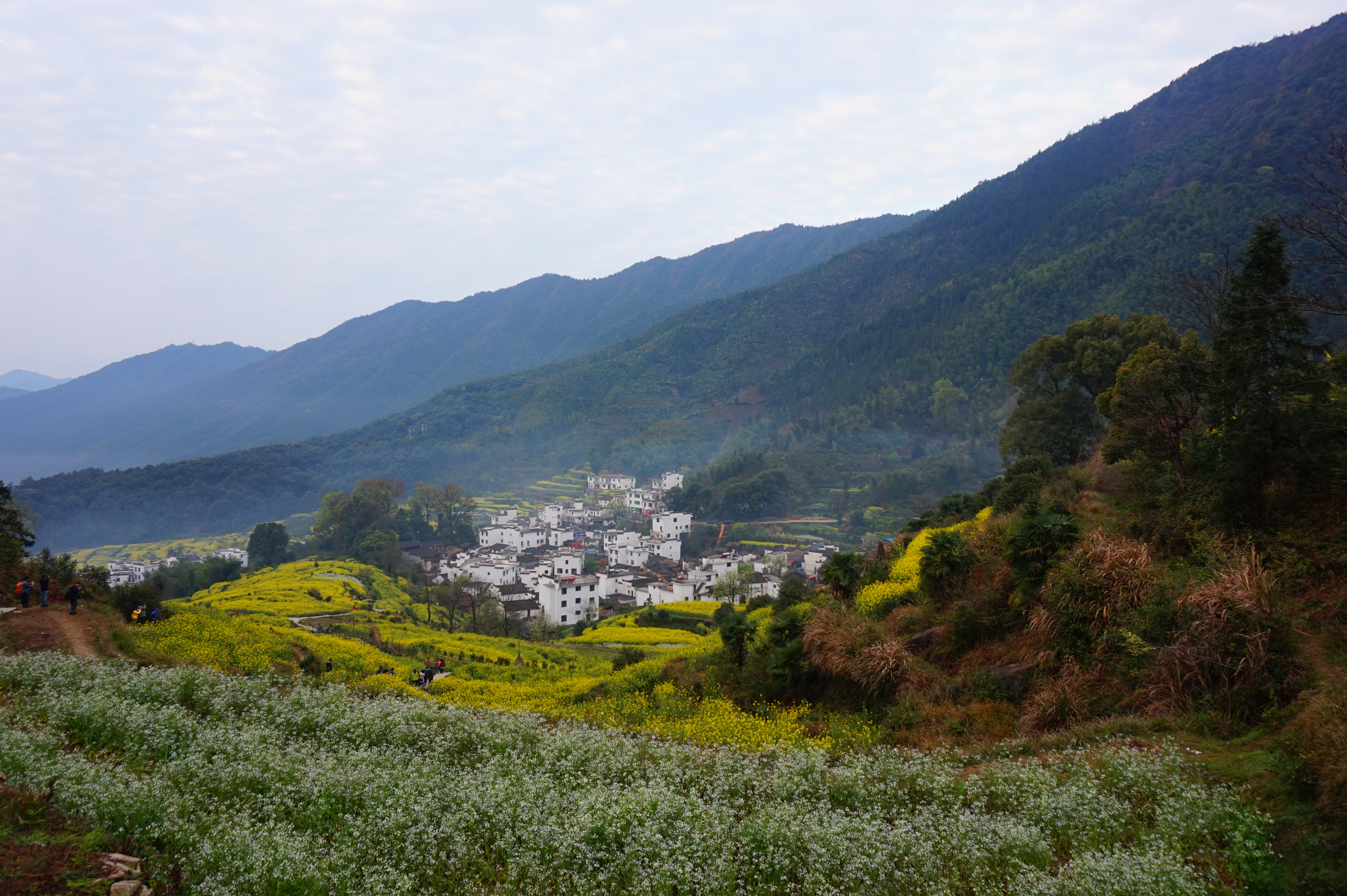 江嶺景區