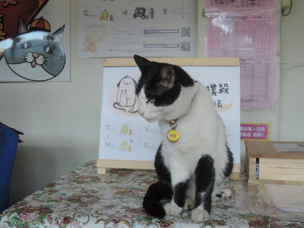 【BlackCat】初見“台灣”—西線篇-旅人制造