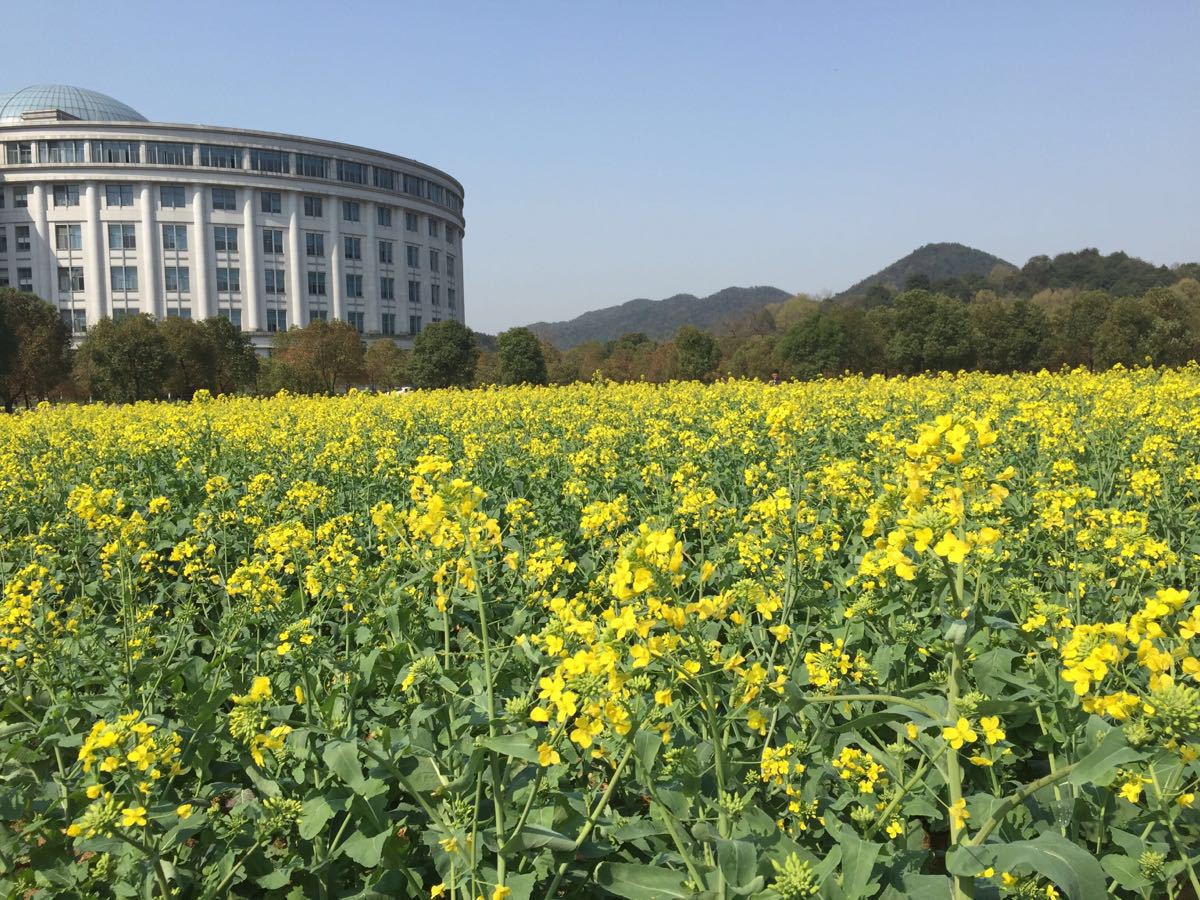 浙江工业大学