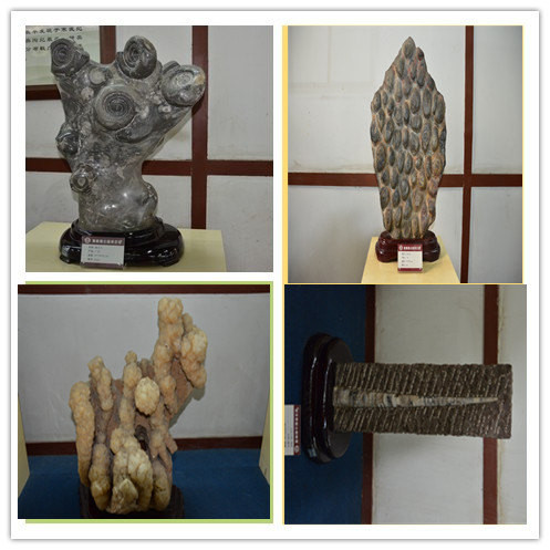 CghzgFU7cUSAHWBLAADzccasl5k797_R_1024_10000_Q90.jpg?proc=autoorient