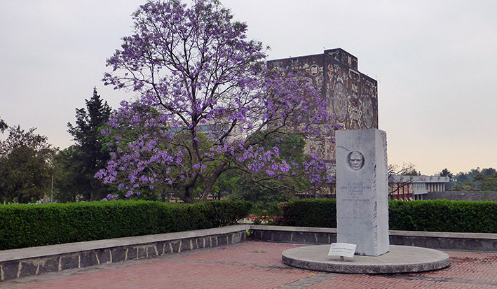 墨西哥国立自治大学城