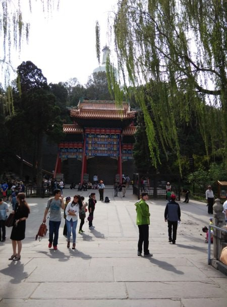 “Binance Casino - 领先的