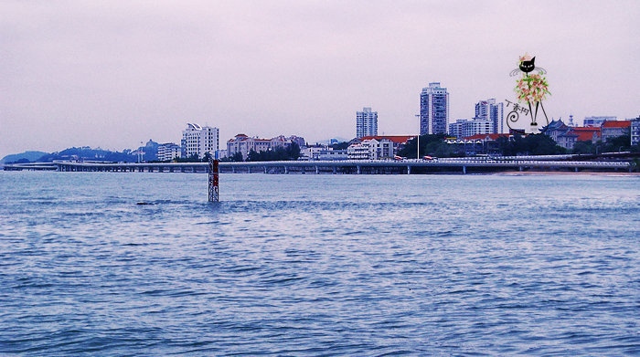 【携程攻略】福建厦门白城沙滩好玩吗,福建白城沙滩景点怎麼样_点评
