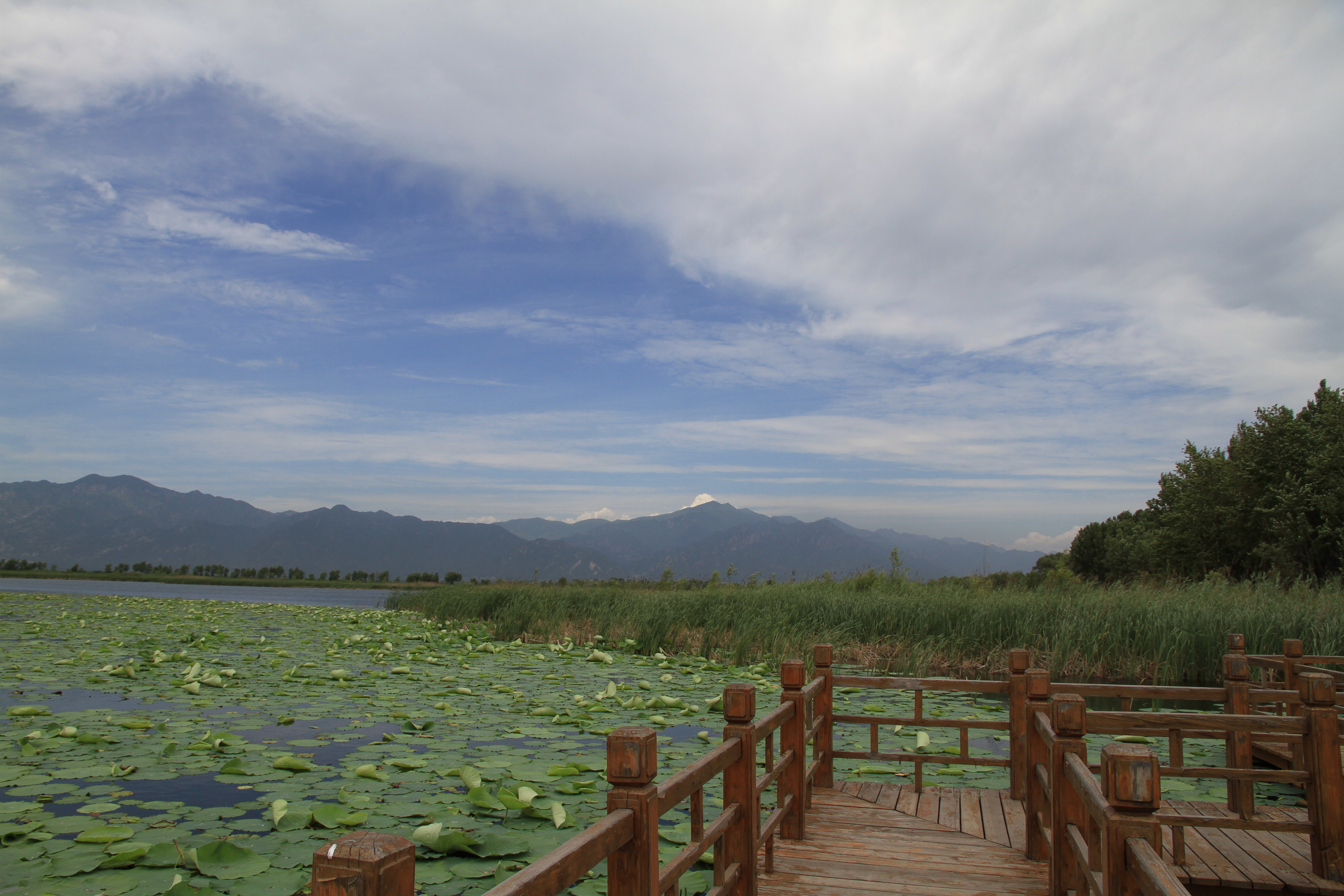 【携程攻略】北京野鸭湖国家湿地公园适合情侣出游旅游吗,野鸭湖国家
