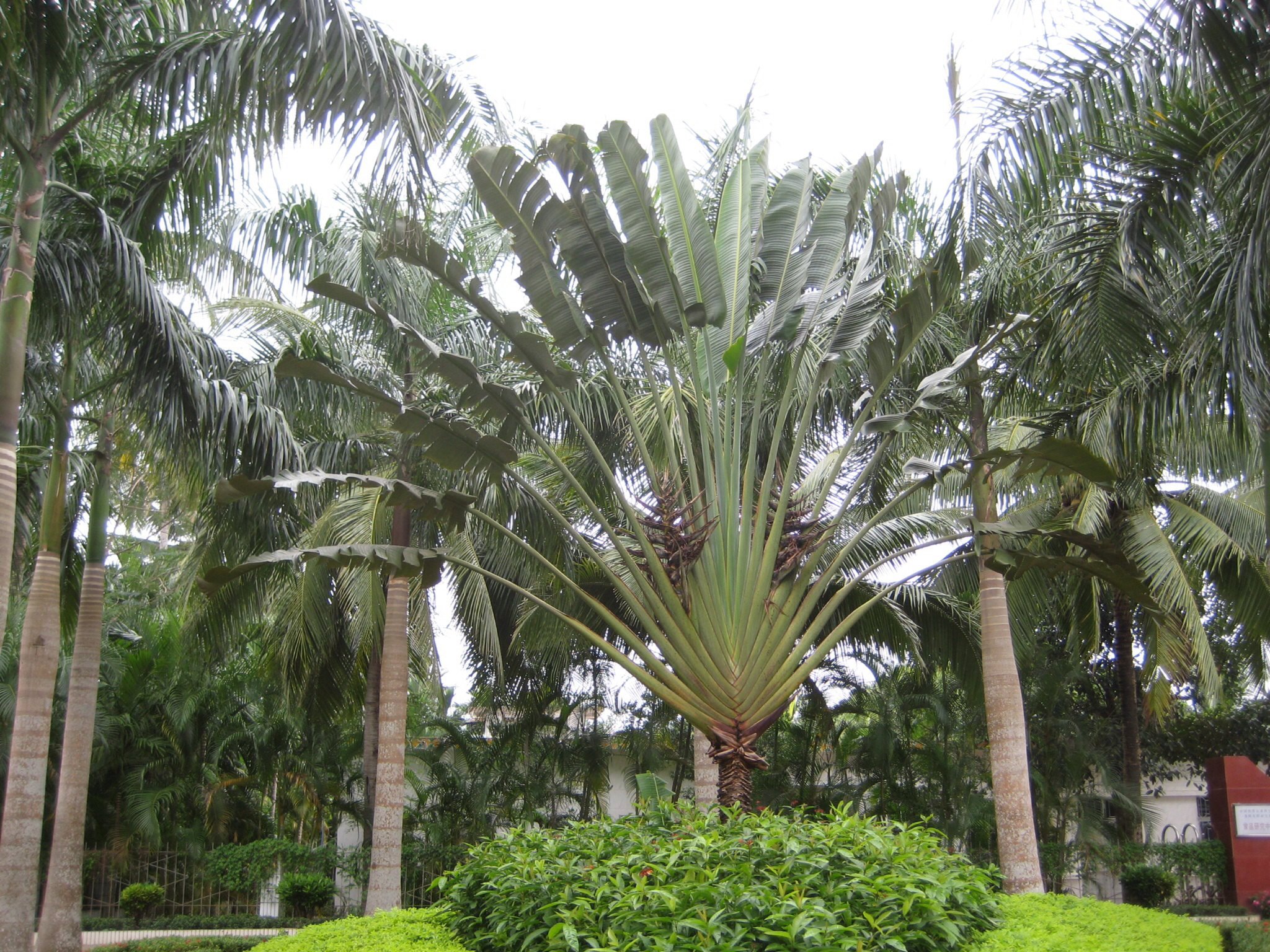 興隆熱帶植物園