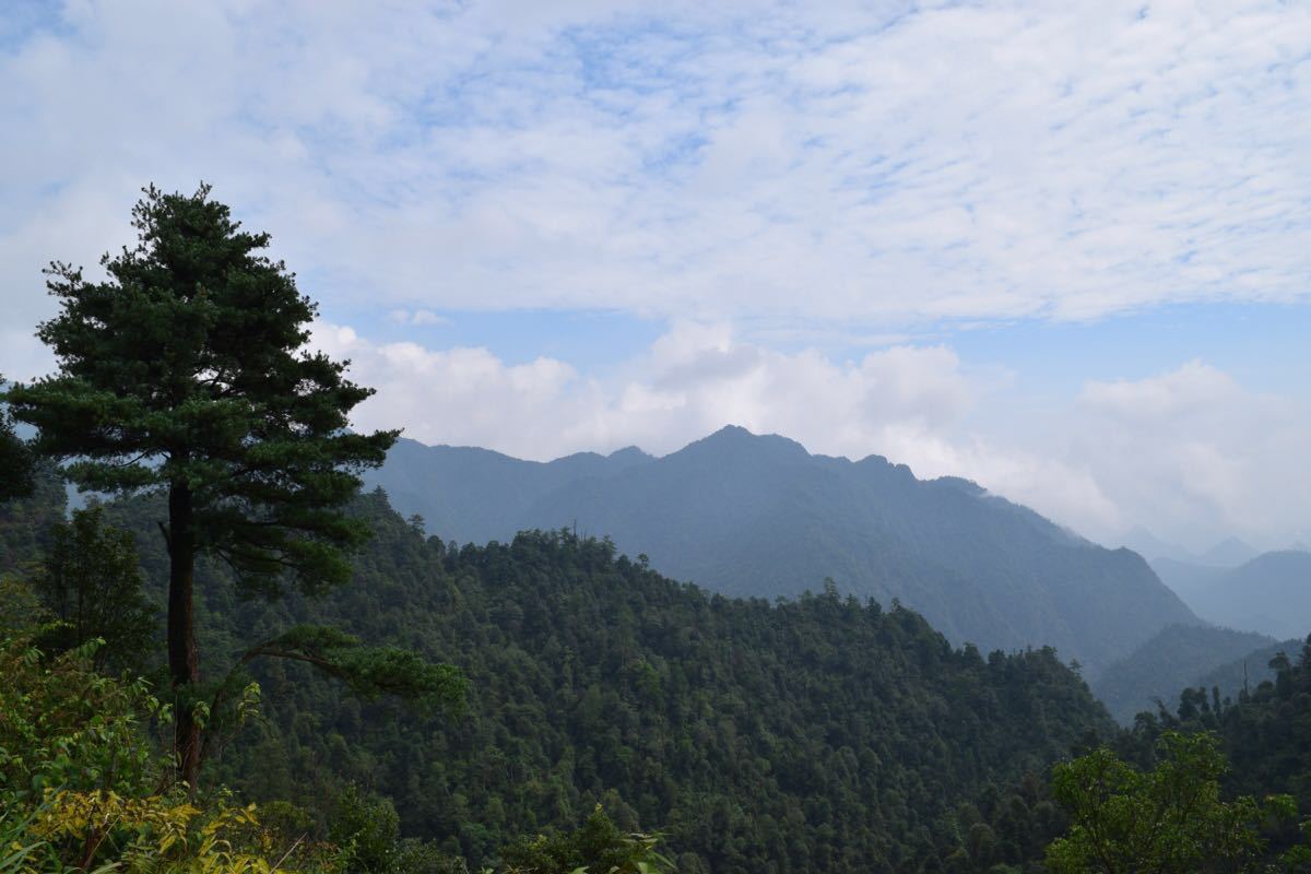 南岭国家森林公园