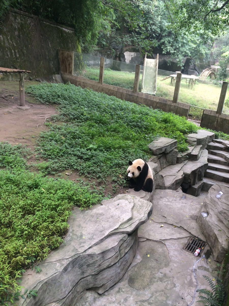 重慶動物園