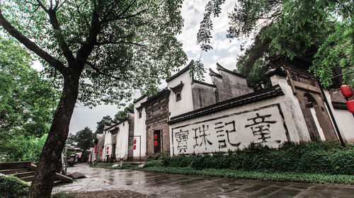 龙游排名_龙游天下(2)