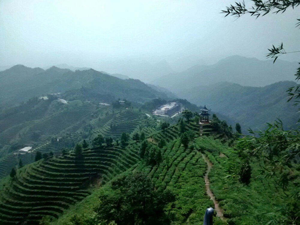 凌雲茶山金字塔