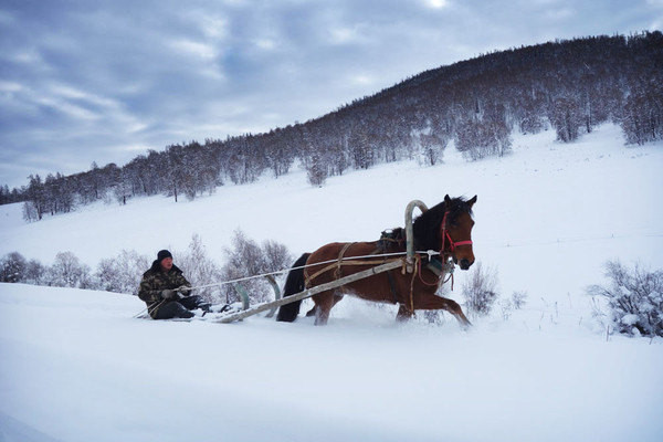 马拉雪橇