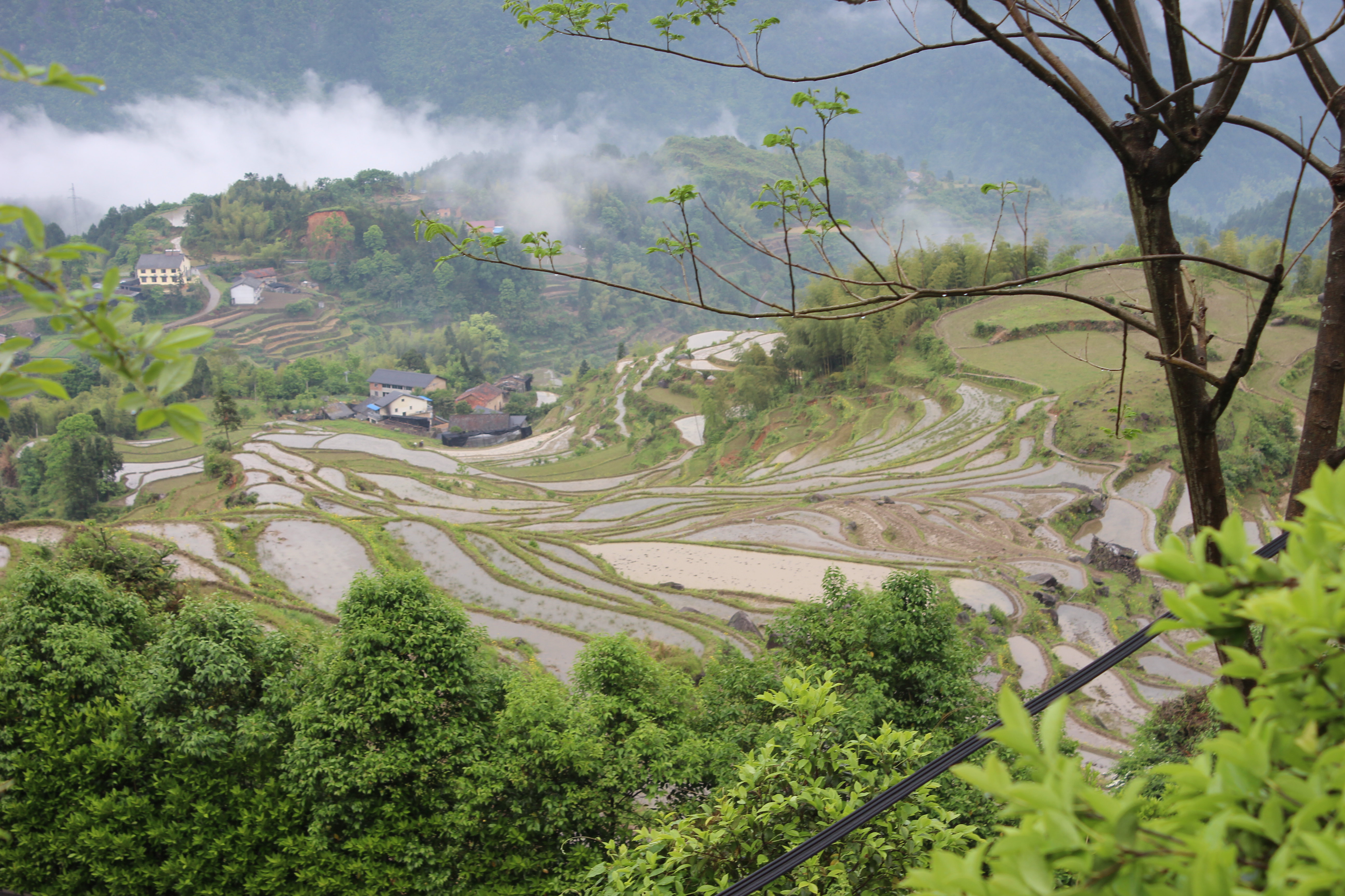 【攜程攻略】浙江雲和梯田景區適合家庭親子旅遊嗎,雲和梯田景區家庭