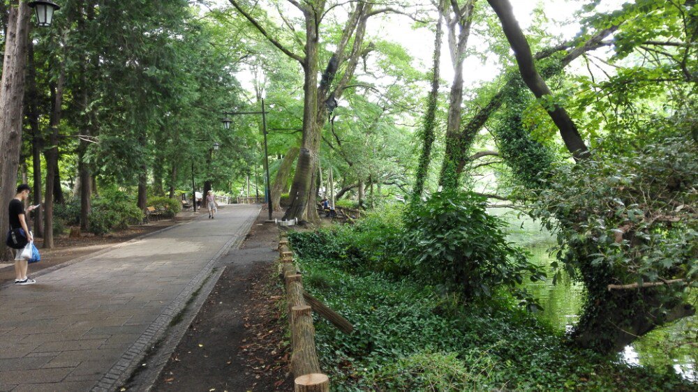 井之头恩赐公园