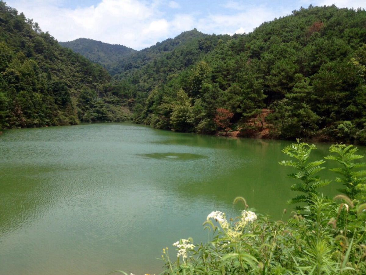 2018仙女湖_旅遊攻略_門票_地址_遊記點評,新餘旅遊景點推薦 - 去哪兒