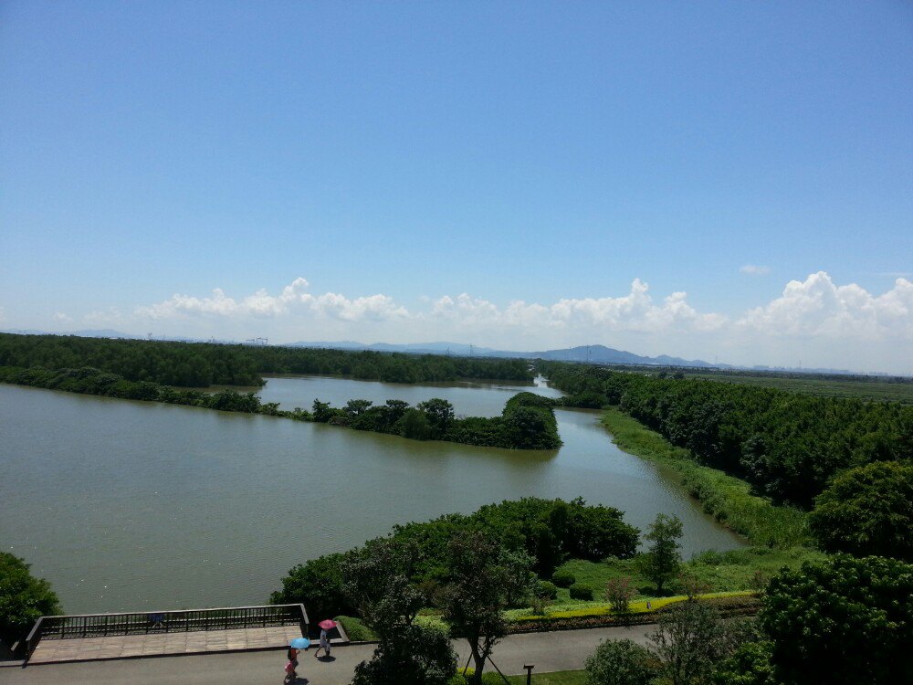 南沙溼地公園攻略廣州南沙溼地公園門票是多少怎麼去