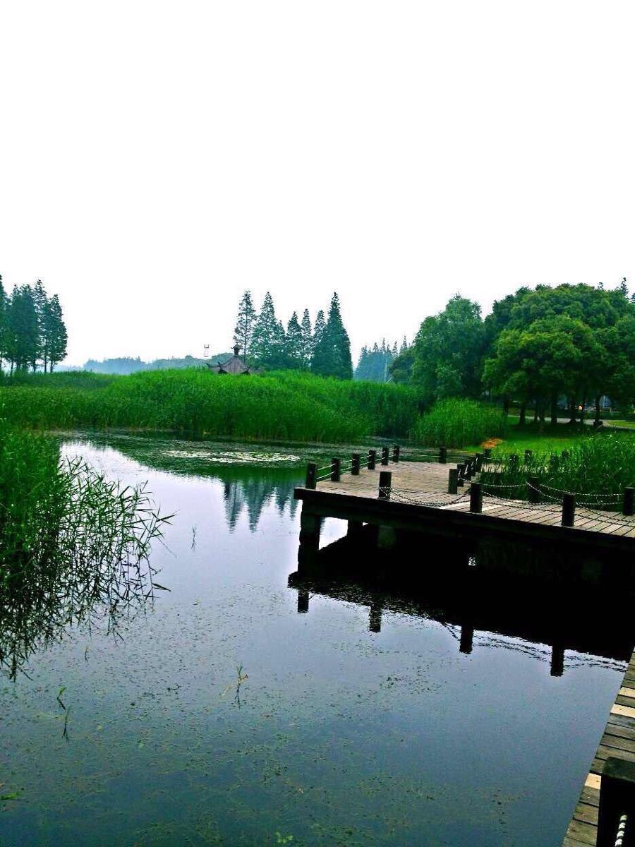 【携程攻略】上海淀山湖风景区景点,淀山湖环湖开了一会,貌似写着不能