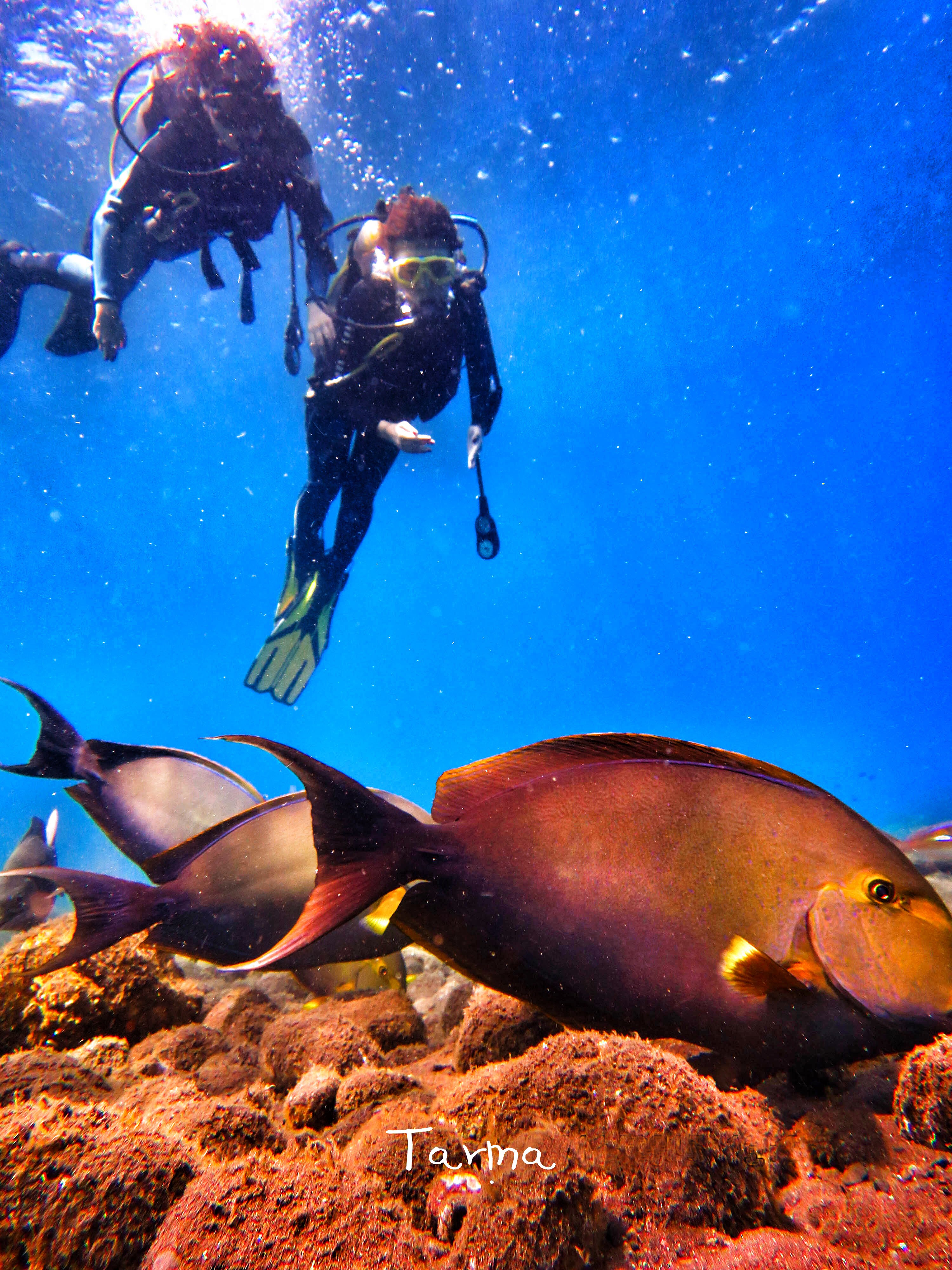 巴厘岛图兰奔好玩吗,巴厘岛图兰奔景点怎么样_点评_评价【携程攻略】