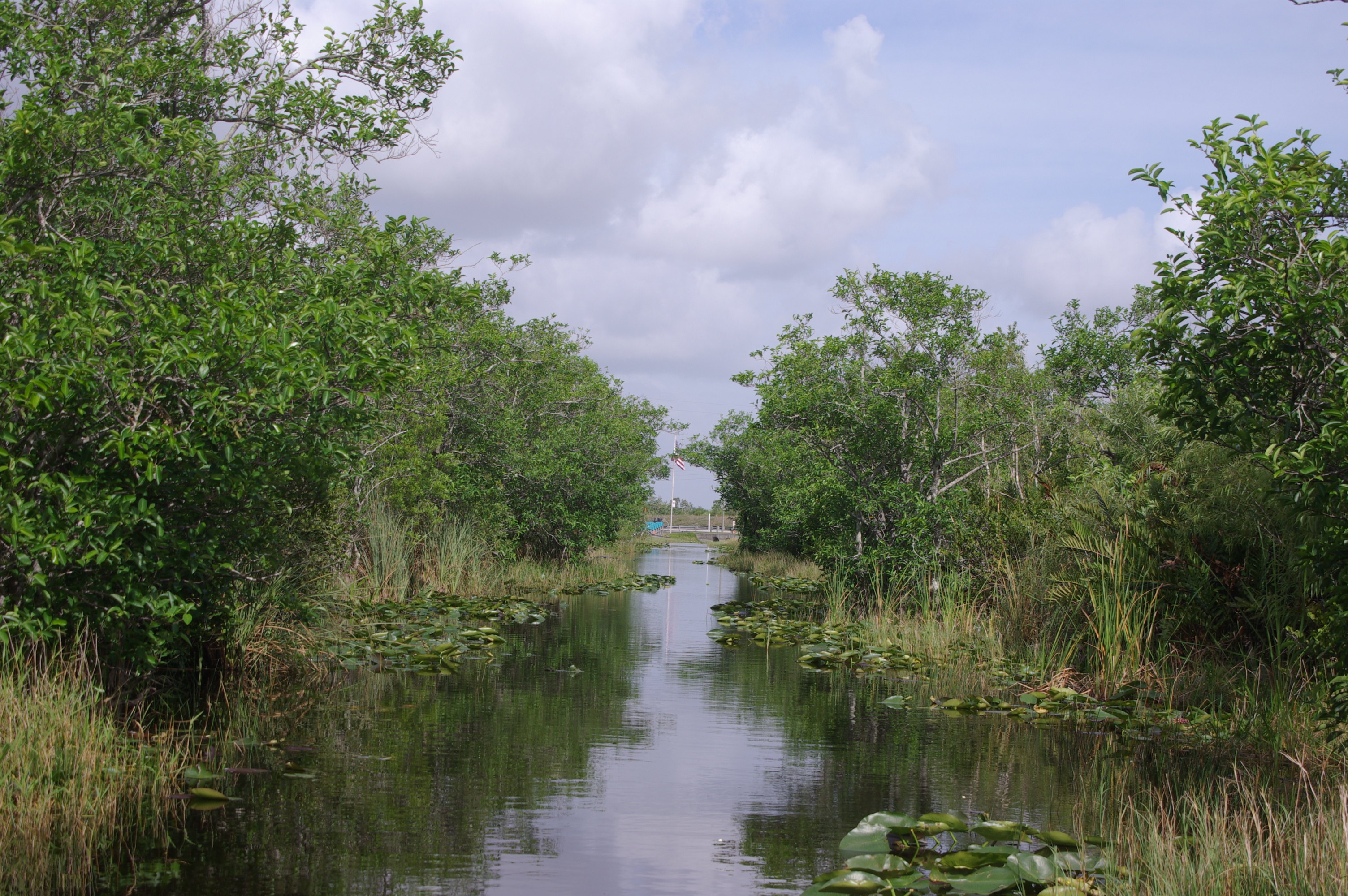 大沼泽地国家公园