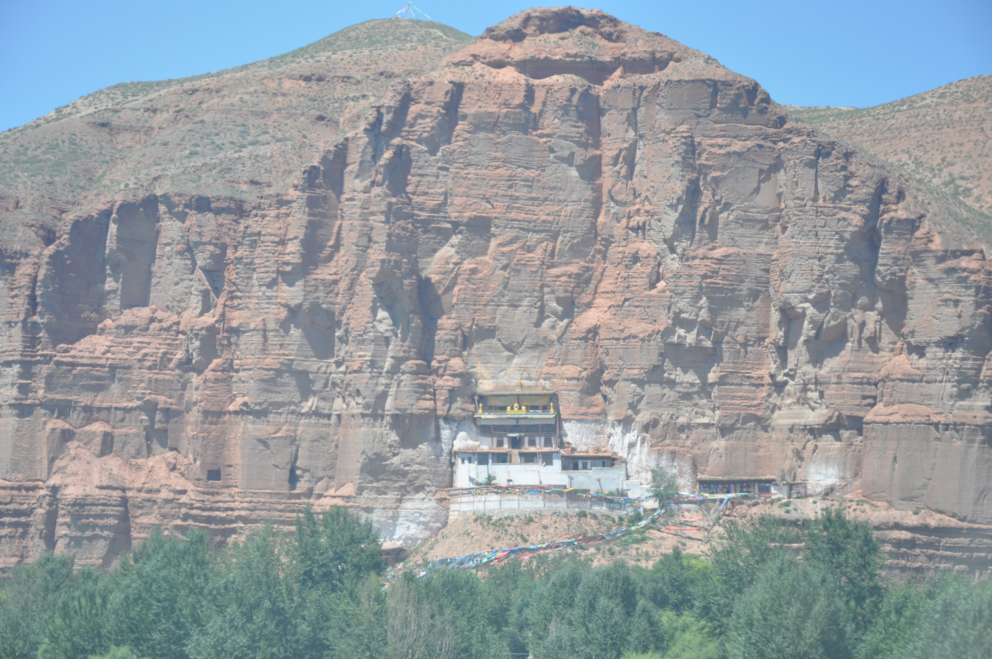 在市中心,楼层高视野好,放好行李,一家人急吼吼地杀向马宗食府,手抓