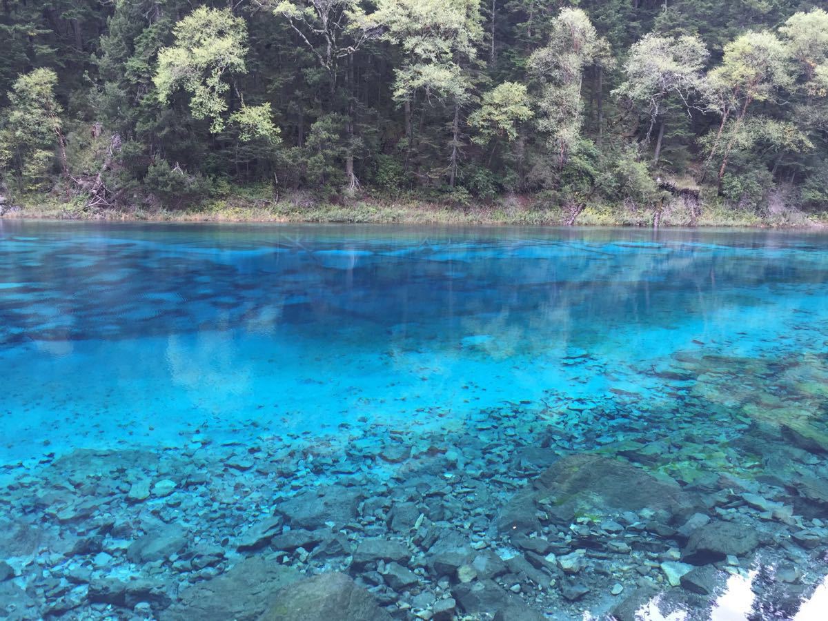 五彩池景點,值得一去,國內的很多景點玩過了,真的還是九寨溝的山水好