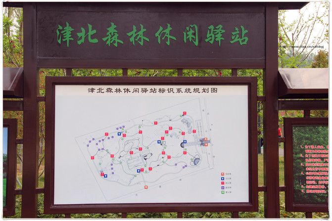 天津武清津北森林公园、空港经济区新燕莎奥特莱斯两日