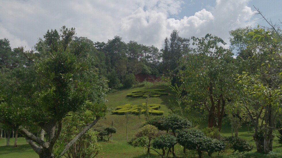 梅子湖公園