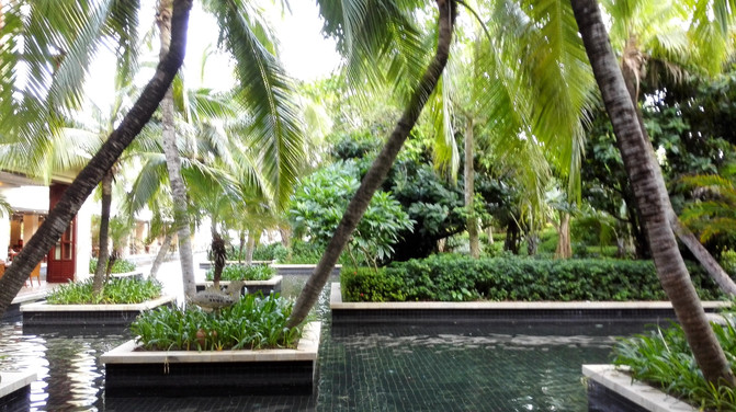 去三亚如何避开人群,如何住好酒店很便宜