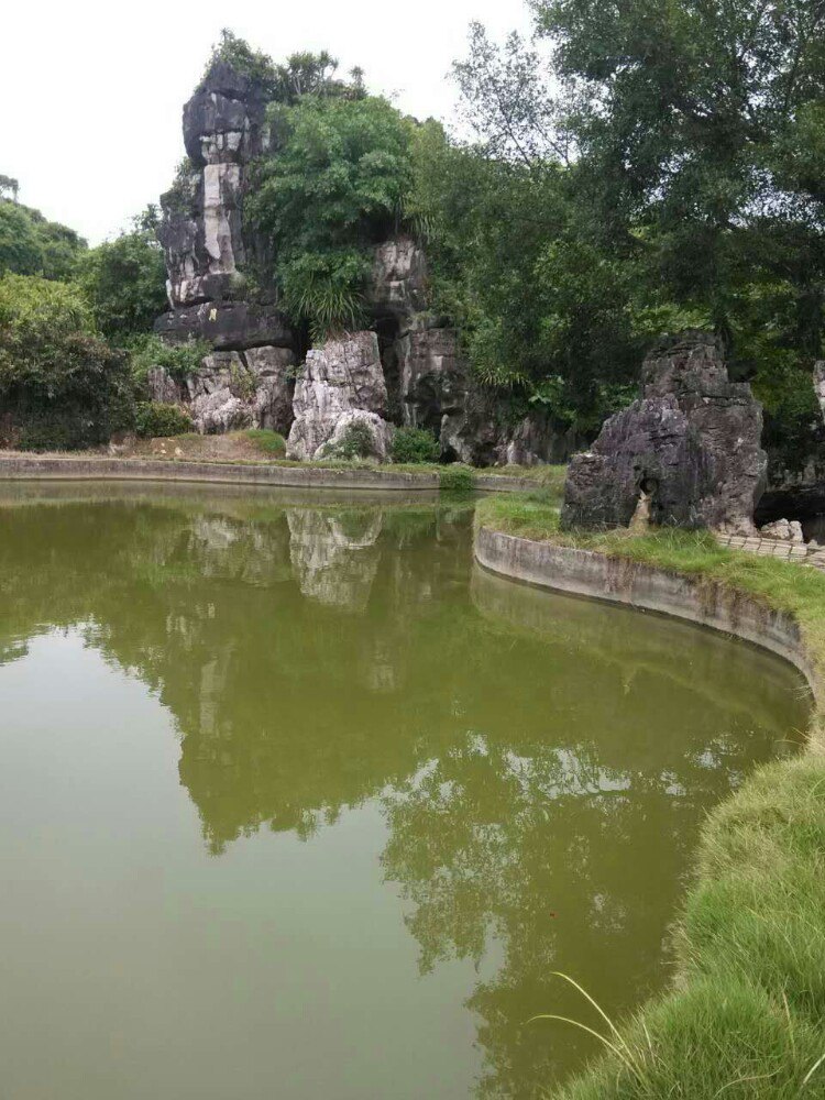 石景林景區